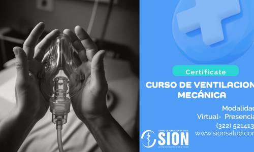 miniatura del curso