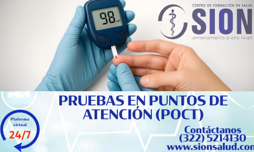 miniatura del curso