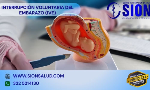 miniatura del curso